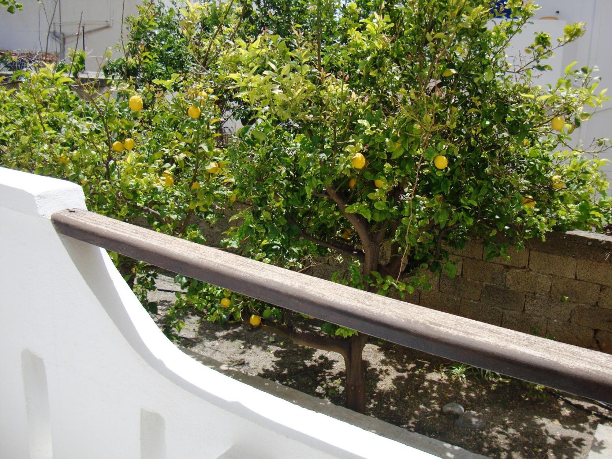 Artemis Studios Agia Roumeli Exterior foto