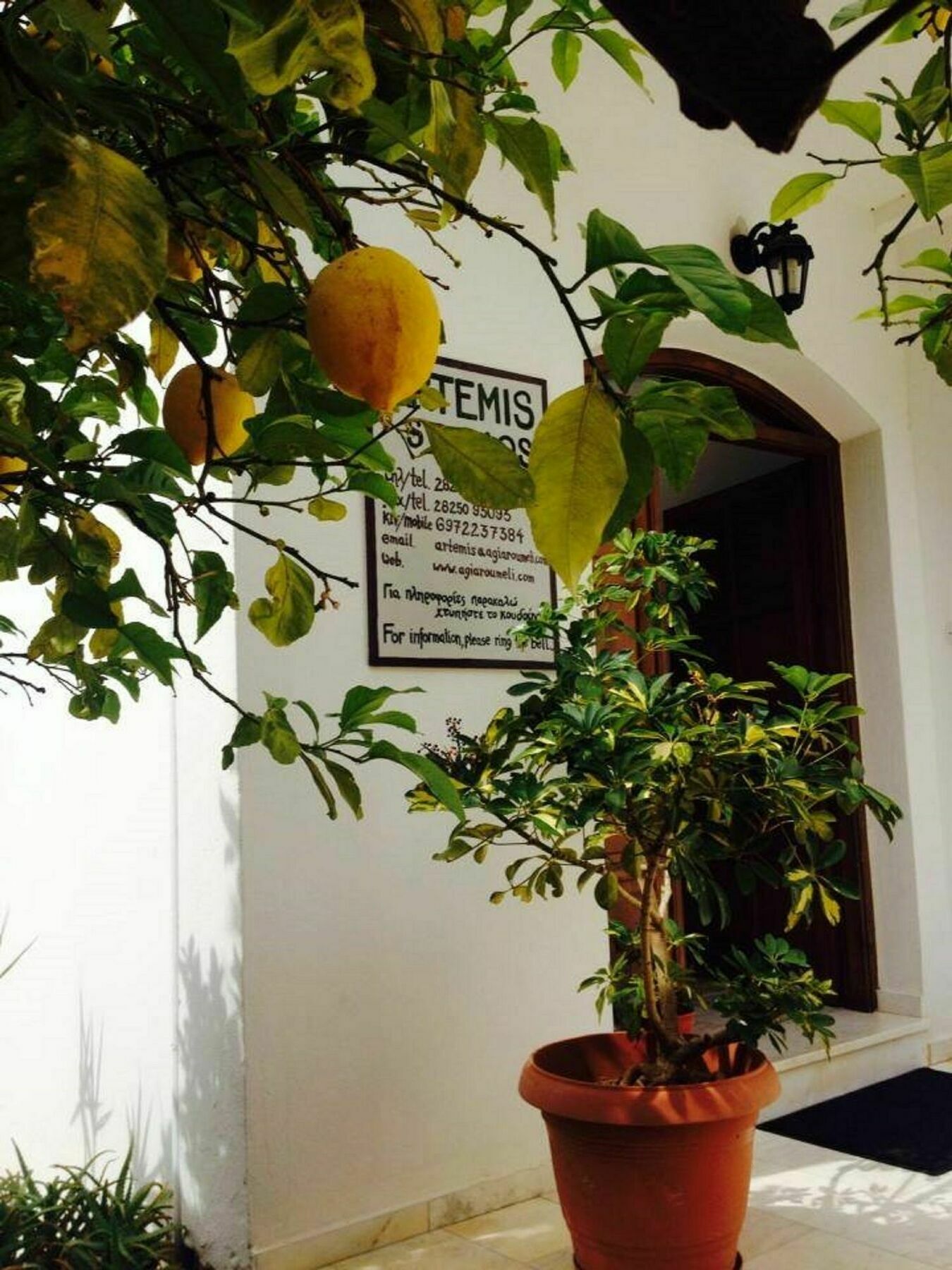 Artemis Studios Agia Roumeli Exterior foto